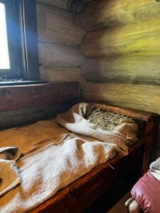 photo_2024-04-08_18-41-43